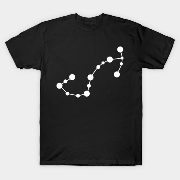 Zodiac sign Scorpio constellation T-Shirt by galaxieartshop